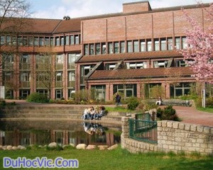 Nghiên Cứu Kép Ở Đức – Cơ Hội Tuyệt Vời Trước Khi Khởi Nghiệp