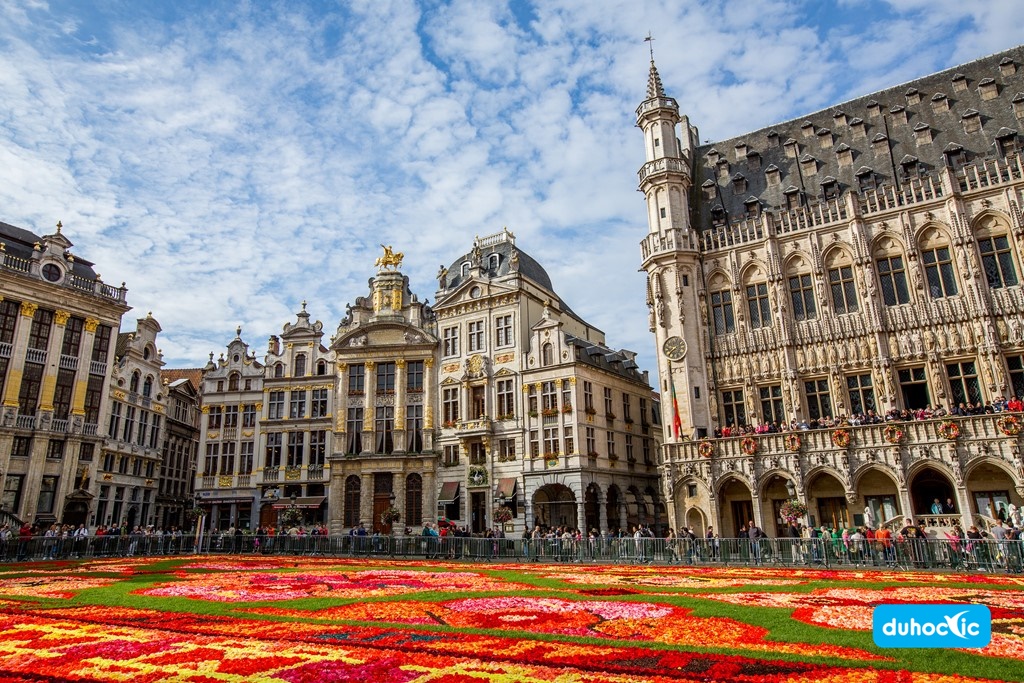 Brussels-1