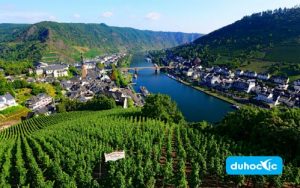 Tại Sao Nhiều Học Sinh Lại Phải Lòng Nước Đức?