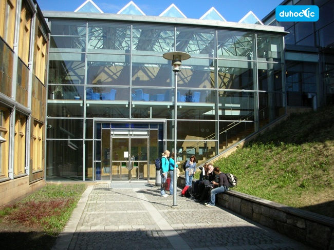 lillehammer-university